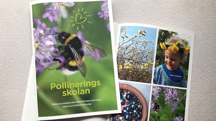 Pollineringsskolan