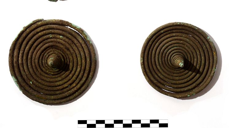 Eindeutige Fundstücke aus Bronze: Die beiden geborgenen Spiralen (unten), eine Fibel (Mitte) und ein Halsring gehören zu einer Frauentracht. 