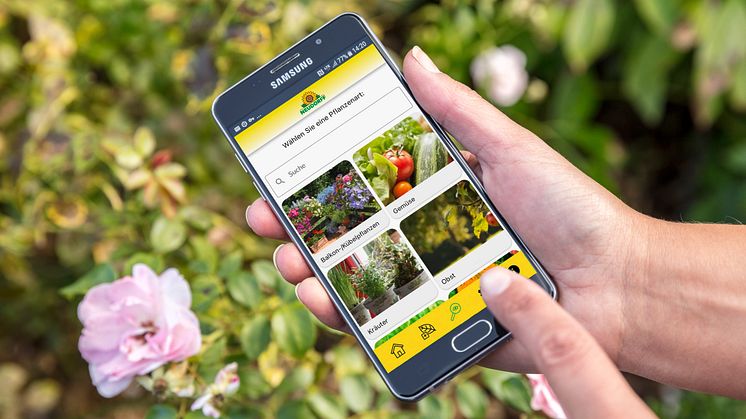Neudorff hat die kostenlose Pflanzendoktor-App entwickelt, die beim Erkennen von Problemen hilft. Nun gab es dafür eine Bestnote.