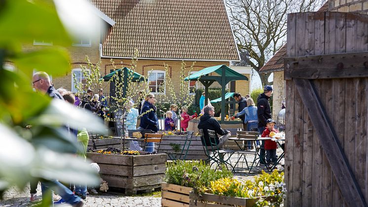 Öppet Hus på Solnäs Gård den 11 maj