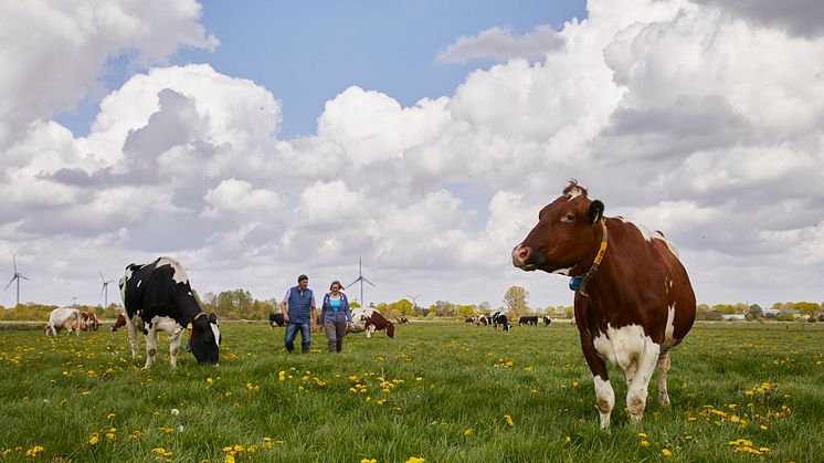 Arla Landwirte 