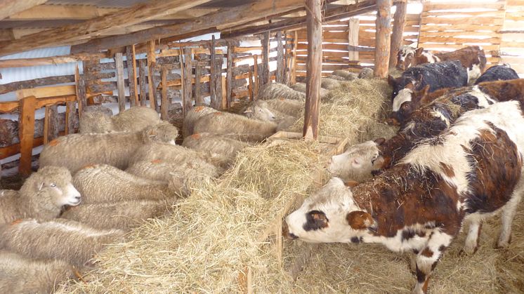 Zukunft der Biobauern: Neues Denken auf dem Feld