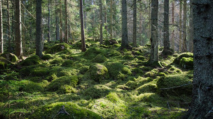 Hydro CIRCAL är aluminium tillverkad av återvunnet använt skrot