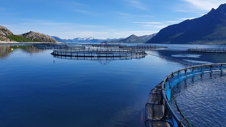 Cermaq kutter 35 prosent av klimautslippene  