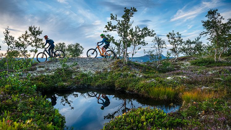 Mountainbike i Lofsdalen