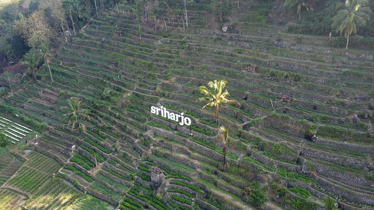 Sriharjo village in Indonesia.