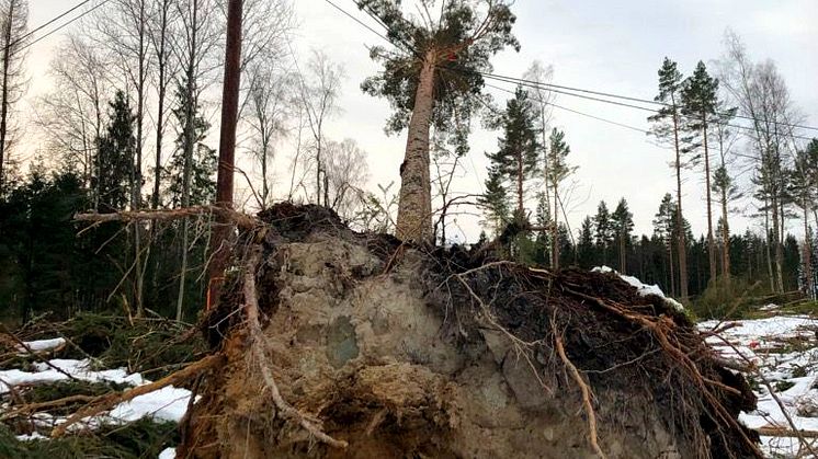 Arkivbild från Stormen Alfrida. Foto: Linde energi.