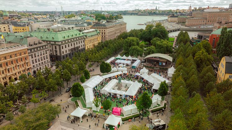 Över 10000 besökare, drygt 500 personer fick jobb - 80 utställare på Jobbfestivalen i september 2022
