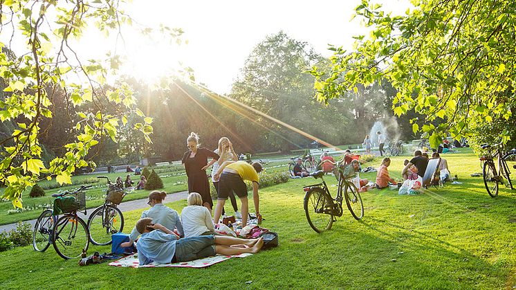 Stadsparken kan bli Sveriges mest inspirerande park!