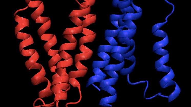 Ny teknik för strukturbestämning av proteiner