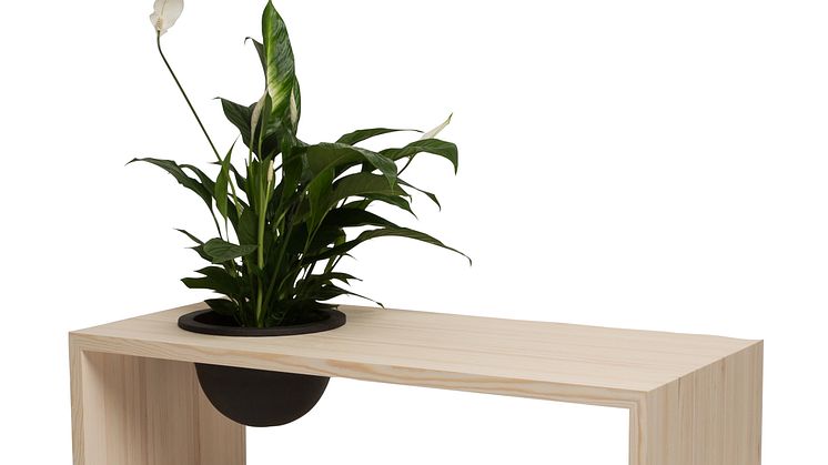 Soffbordet från Studio Sterner ger växten en naturlig plats