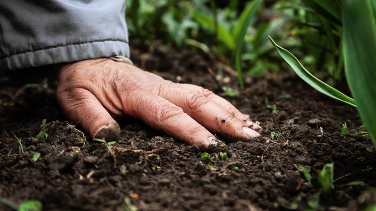 Bodengesundheit in der Landwirtschaft