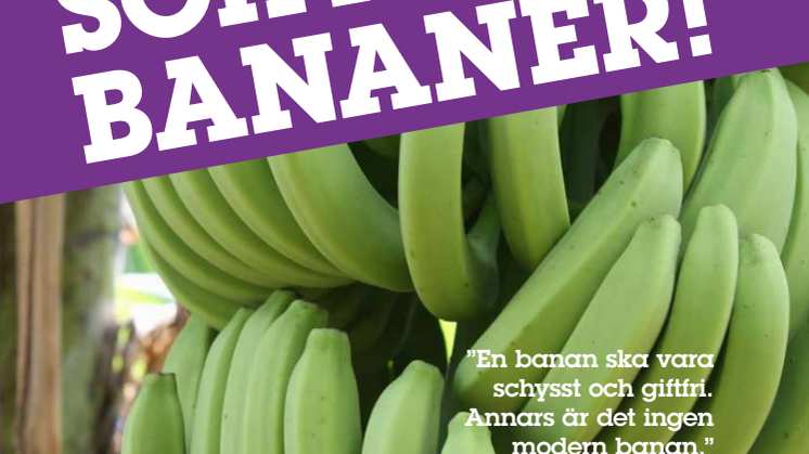 ”Schyssta bananer Del 1: Utmaningar och möjligheter i framtidens bananindustri”