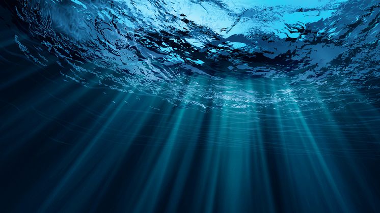 Statement from the private financial sector to ESG data providers: The urgent need for better ocean-related data to make informed investment decisions