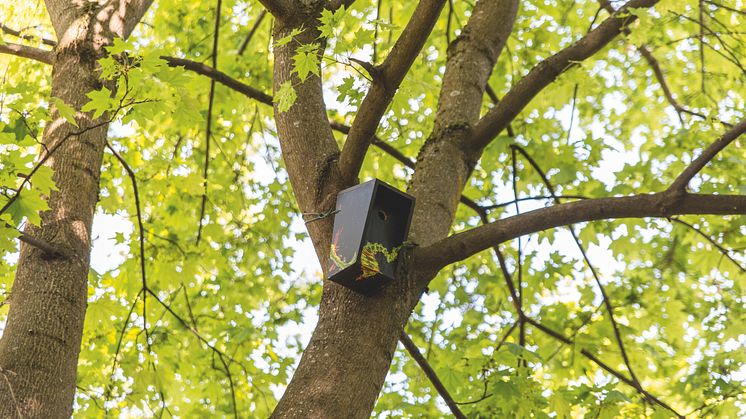 Denne fuglekassa finner du ved Grünerhagen Park (13). Foto: Mariell Midtbø Bøyum/Kikkut