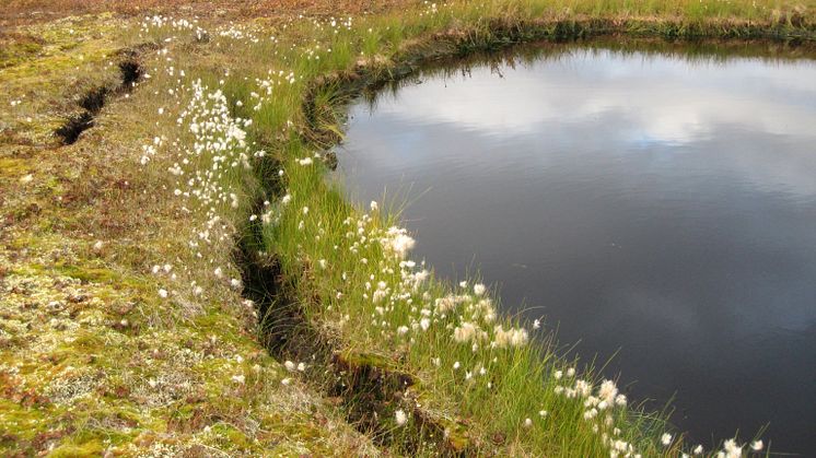 Tinande permafrost förändrar landskapet och förstärker växthuseffekten 