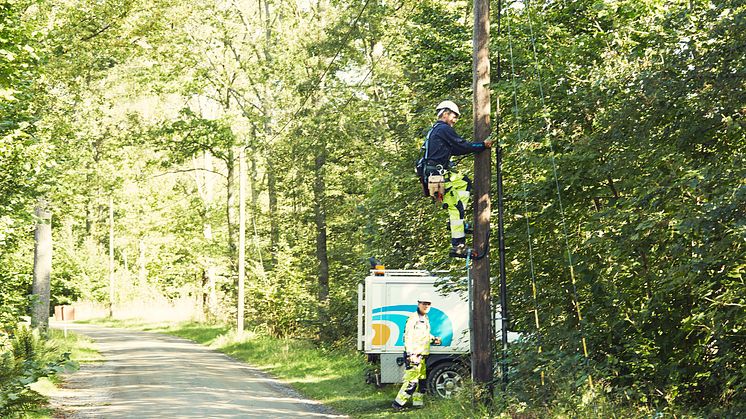 ​Investeringar för att framtidssäkra elnätet