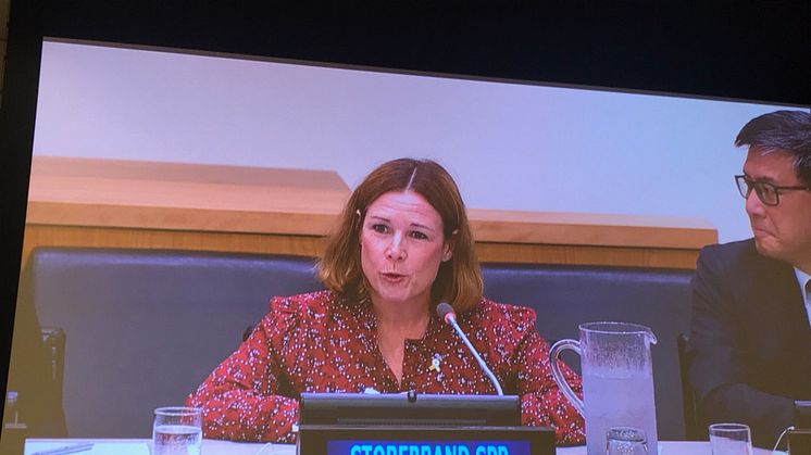 Åsa Wallenberg at the United Nations in NYC.