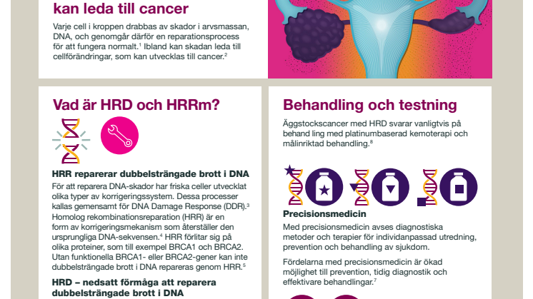 Äggstockscancer infografik: Reparationer av DNA-skador (Print)