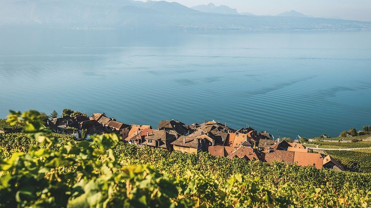 Das typische Weindorf St-Saphorin mitten im Lavaux mit dem Genfersee © Schweiz Tourismus