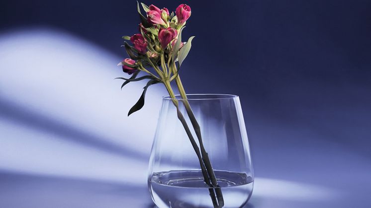 Brillant Lyslykt/Vase