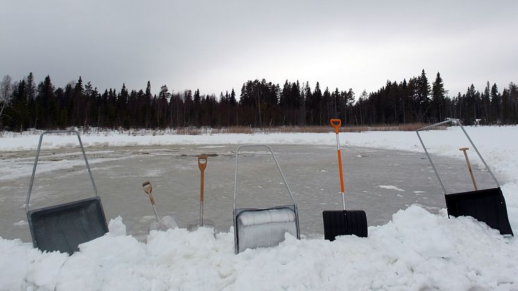 Först togs vattenprover under isen när denna var täckt av snö. När snön hade skottats bort togs nya vattenprover under en veckas tid. Foto: Sarahi Garcia