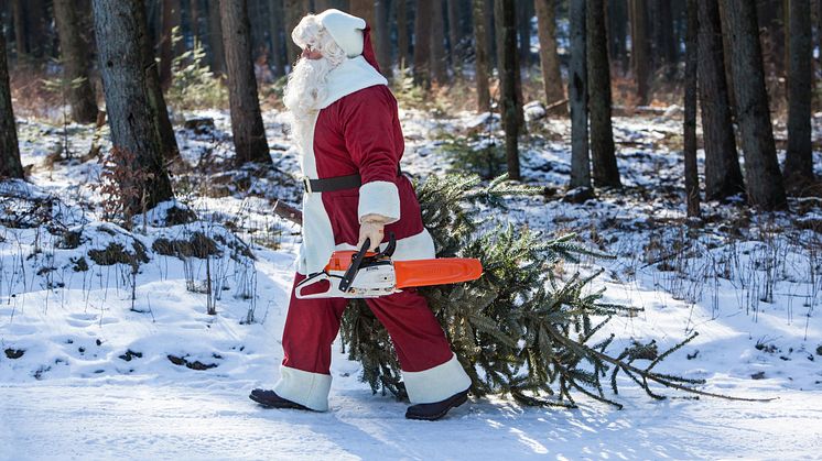 BEVAR NOSTALGIEN - FÆLD DIT EGET JULETRÆ