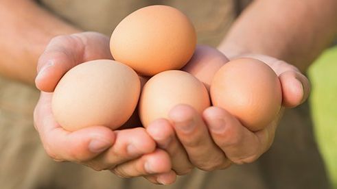 Nestlé kutter ut egg fra burhøns
