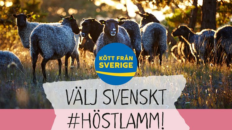​ Häng med oss i sociala media under vecka 40 och 41 och på kampanjsajten höstlamm.se. Titta efter märket Kött från Sverige i butiken!