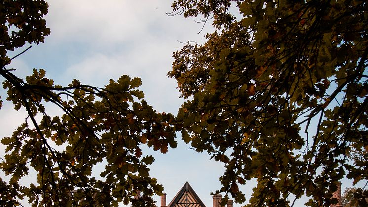 Schloss Cecilienhof im Neuen Garten