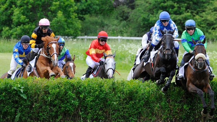 Svenskt Grand National på Strömsholm är ett av Svensk Galopps största evenemang.