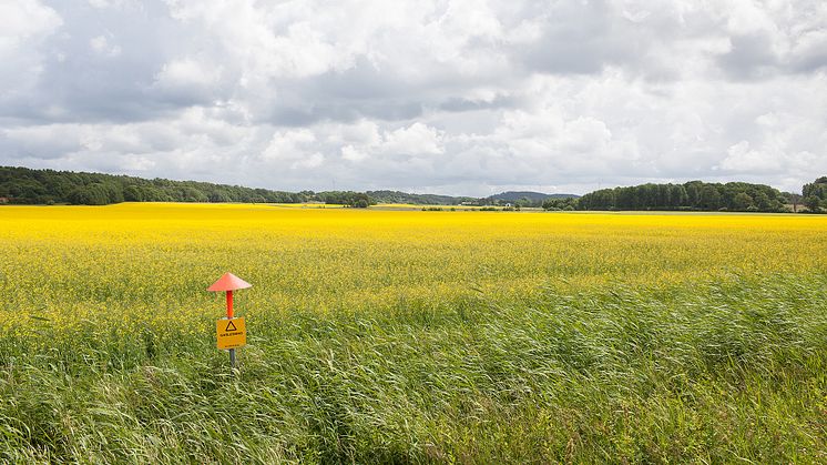 Ny rapport visar att Sverige står inför en omfattande utbyggnad av infrastruktur för vätgas för att nå klimatmålen