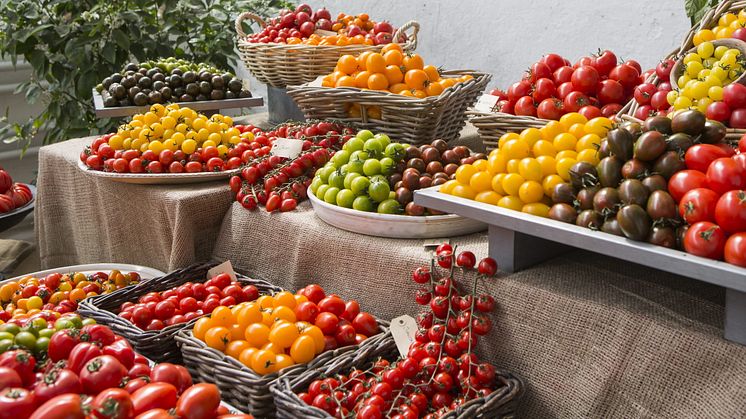 Vår populäraste grönsak tomaten. Vi äter ungefär 10 kilo per person och år av allehanda sorter numer.