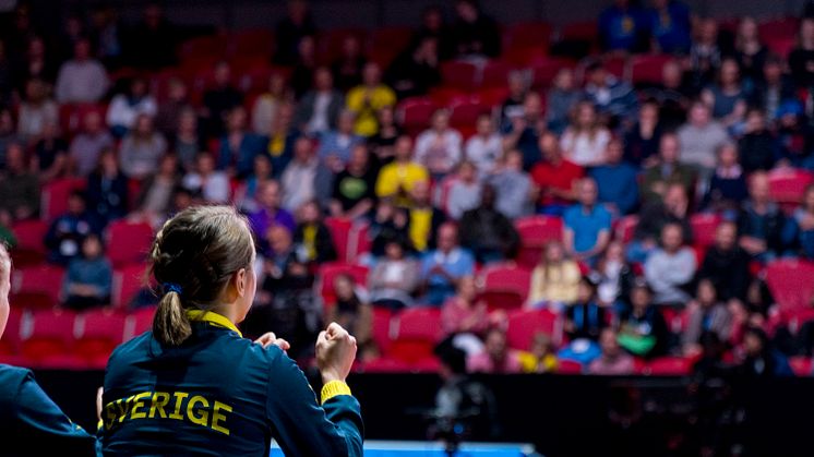 Publiken i Halmstad Arena har burit fram de svenska lagen till flera stormatcher.