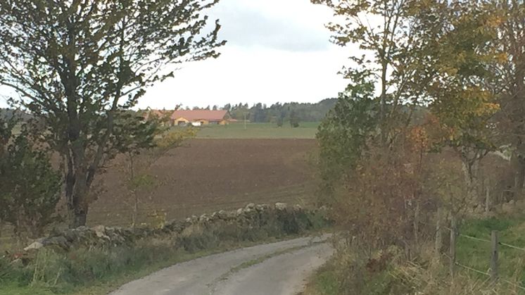 Första veckan i september kommer Länsstyrelsen att göra en tillsynsinsats i bitopskyddade miljöer i odlingslandskapet. Foto: Länsstyrelsen.