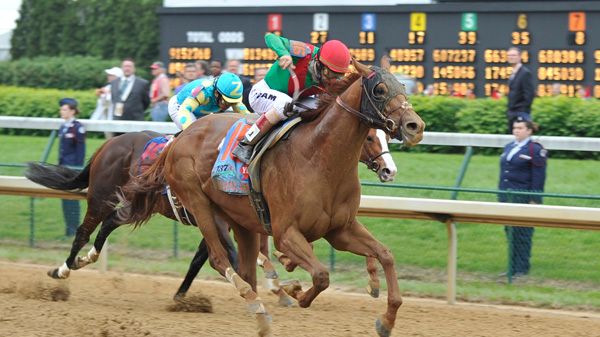 Rekordpublik på Kentucky Derby - 164,000 såg Animal Kingdom vinna!