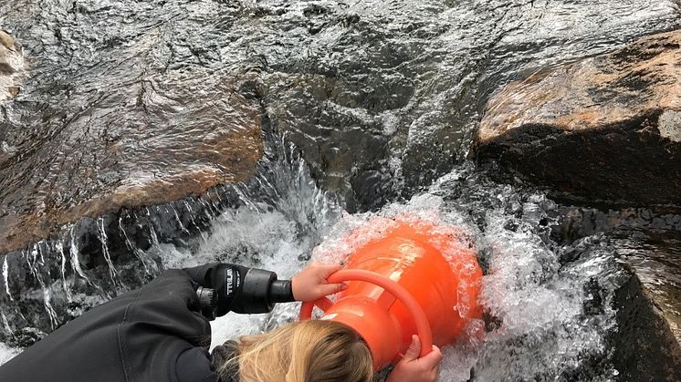 Undersøkelser av påvekstalger med vannkikkert (Foto: Joanna Lynn Kemp, NIVA)