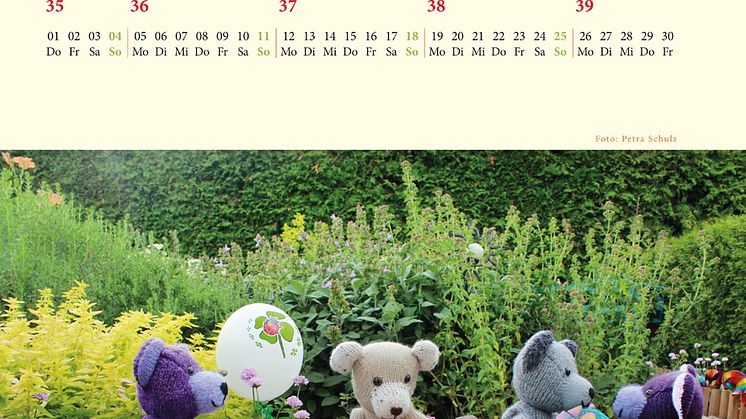 Bärenherz-Kalender für 2016 verfügbar