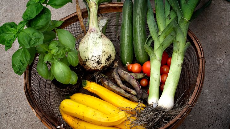 Alvesta kommun satsar på hållbara och lokala inköp inom livsmedel 