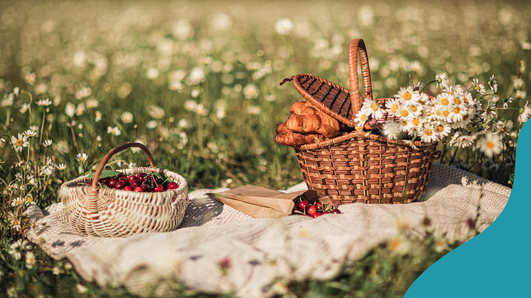 picknick_södermanland