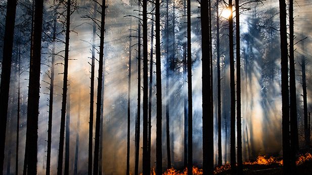 Foto: Anders Tedeholm, Länsstyrelsen Värmland