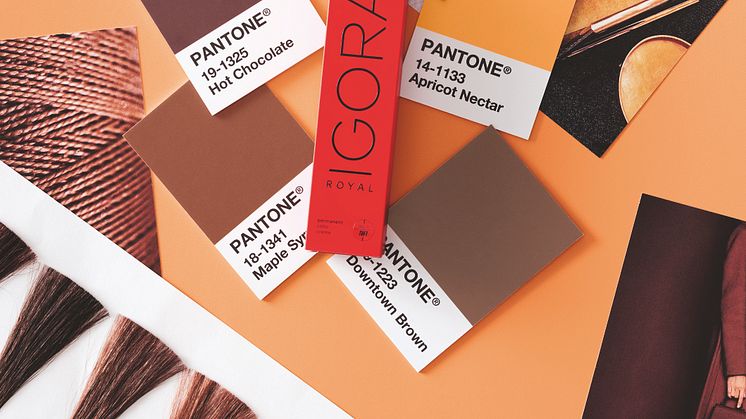 NYA ”IGORA ROYAL Mixes Collection inspired by PANTONE