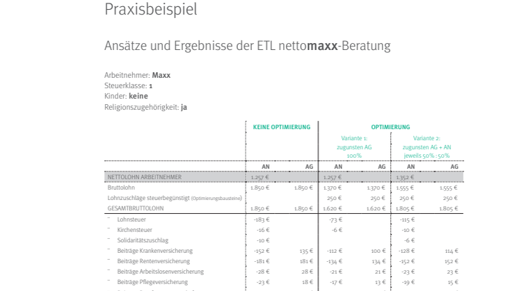 Praxisfall für unser ETL-Programm "Nettomaxx", Lohnoptimierung für Arbeitnehmer