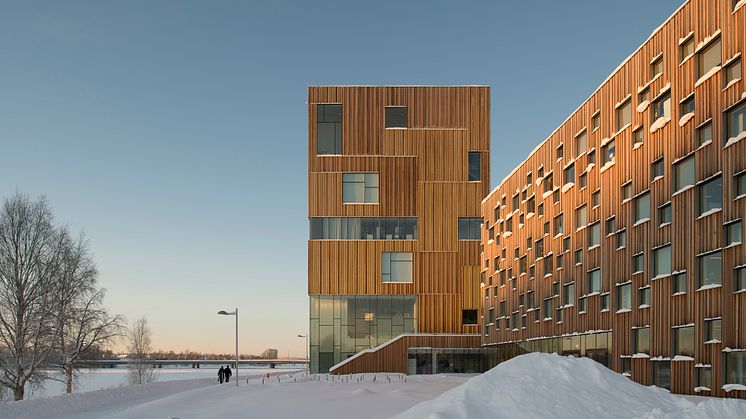 Bildmuseet, Umeå universitet