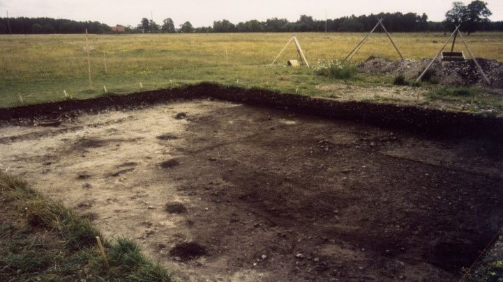 Boplatsen och gravfältet Ajvide ligger på Gotlands sydvästra kust. De "svarta ytorna" kan koppas till gravritualer. Foto Inger Österholm.