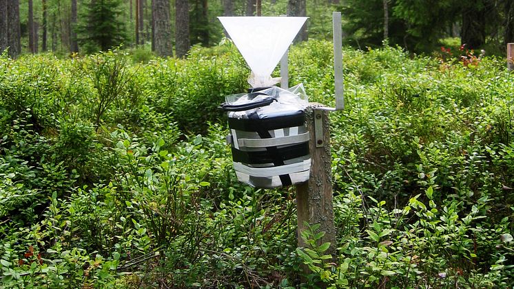 Krondroppsnätets övervakning omfattar ett 60-tal ytor i skog och på öppet fält över hela landet. På bilden syns en provtagare för att mäta krondropp från träden. Foto: Gunilla Pihl Karlsson