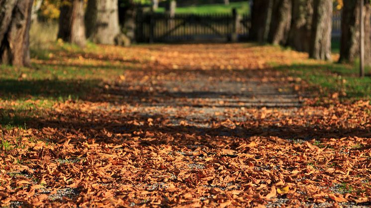 I Sverige pågår säsongen för radonmätning mellan 1 oktober och 30 april