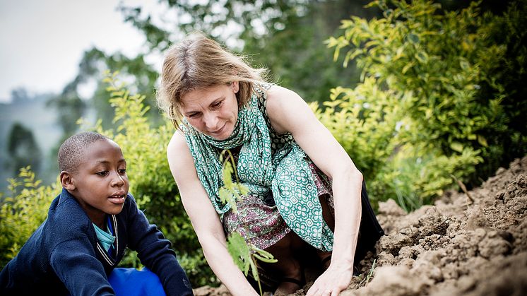 Helen Sjöholm och Jolie Usanzituze planterar träd på Kininshyaskolans gård i Rwanda. Foto: Marcus Lundstedt.