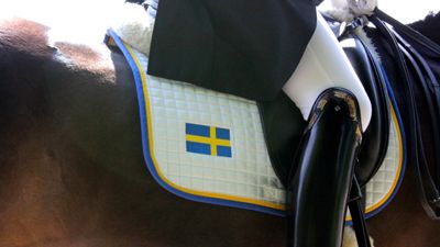 Fyra dagar med ponny-dressyr i Täby