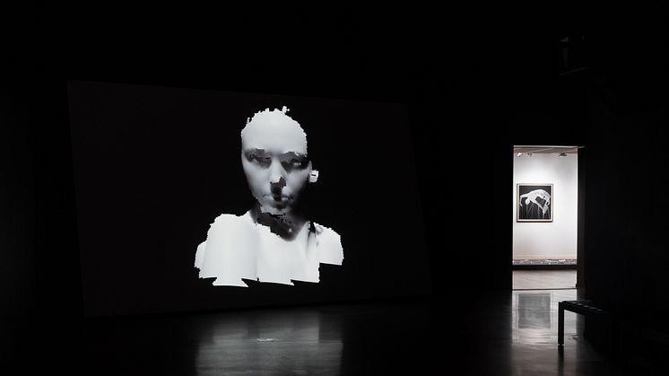 Tove Kjellmark, Inside, video installation (2018)